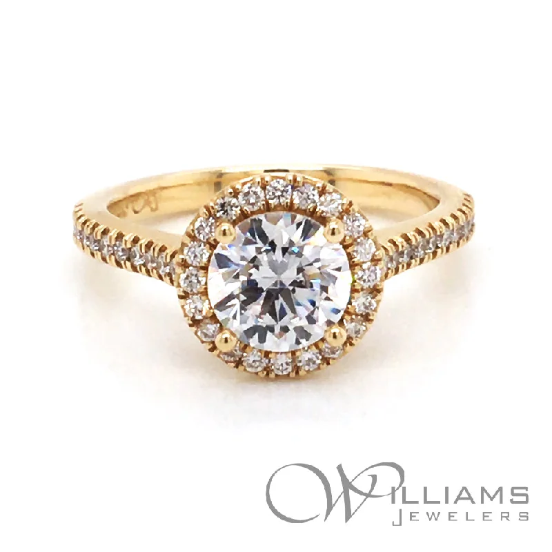 women’s engagement rings with sapphires and rubies for men-Williams Elevation 14 Karat Diamond Engagement Ring